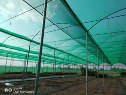 Agriculture Product